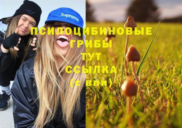 мдпв Баксан
