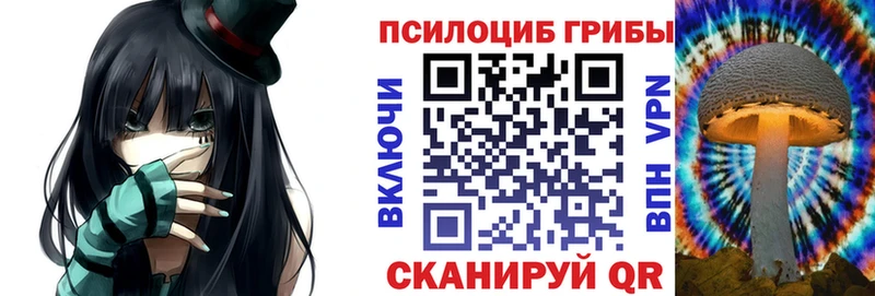 Псилоцибиновые грибы Psilocybine cubensis  мориарти Telegram  Нововоронеж 